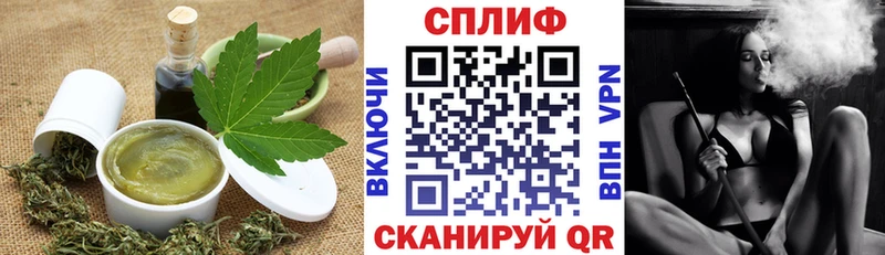 Купить закладки  Снежногорск  Cannafood конопля 