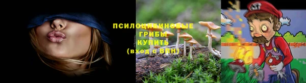 бошки Костерёво
