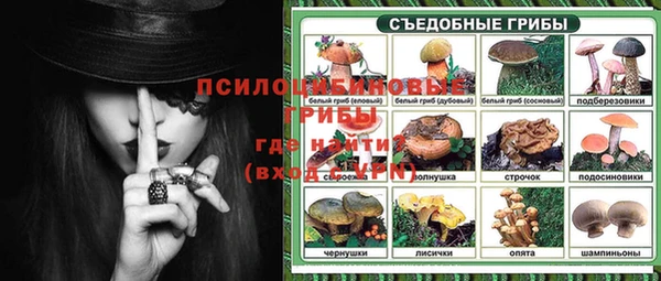 первитин Краснослободск