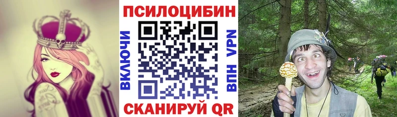 Купить где  Снежногорск  Псилоцибиновые грибы GOLDEN TEACHER 